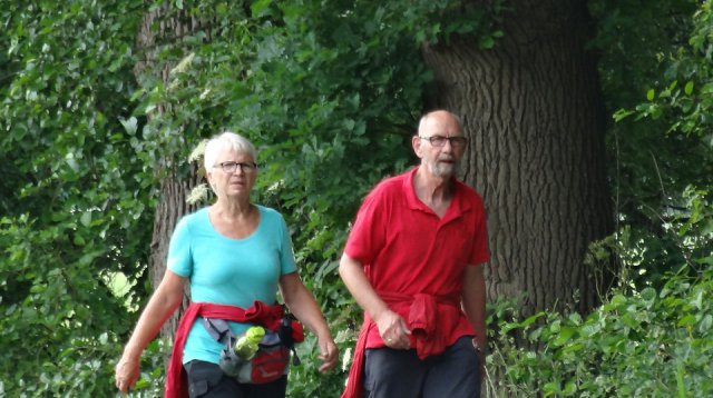 Singels en essen (zondag 12 juni 2016)